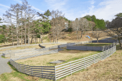 B6（オートドッグランサイトS）