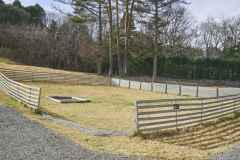 B7（オートドッグランサイトS）