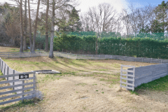 B9（オートドッグランサイトM）