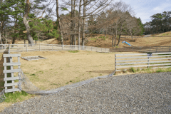 B11（オートドッグランサイトM）