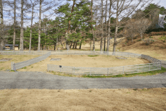 B11（オートドッグランサイトM）