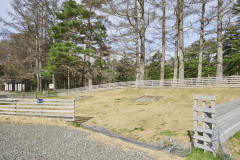 B12（オートドッグランサイトM）