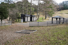 B13（オートドッグランサイトM）