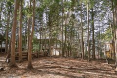 D2（森林サイトL）