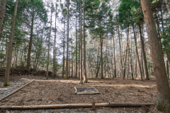 D3（森林サイトL）