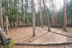 E4（森林サイトM）