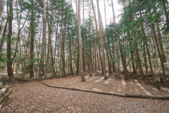 E5（森林サイトM）