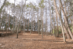 F1（リゾート森林サイト）