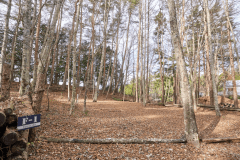 F1（リゾート森林サイト）