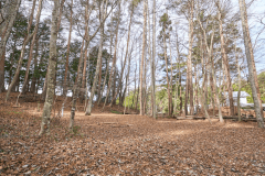 F1（リゾート森林サイト）