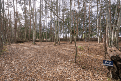 F2（リゾート森林サイトＬ）