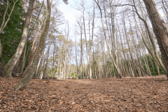 F2（リゾート森林サイトＬ）