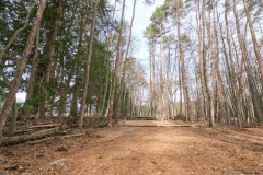 F3（リゾート森林サイト）