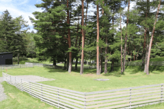 C4（リゾートドッグランサイトL）