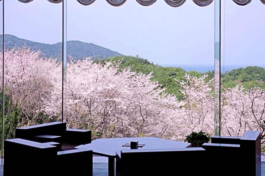 カフェラウンジからの眺め