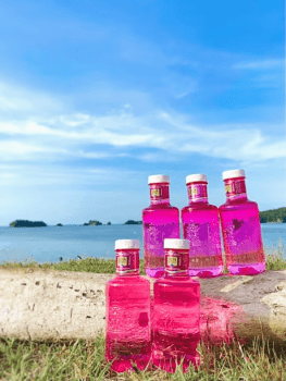 【女性限定】3大特典付き女子旅 ~海辺に泊まる~　伊勢志摩で海辺に一番近いビーチグランピング　BBQディナー＆朝食