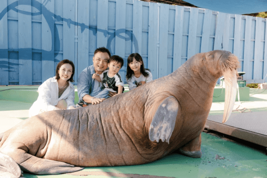 【伊勢シーパラダイスチケット付き】ゼロ距離で出会う、感動のふれあい体験旅(1泊2食)