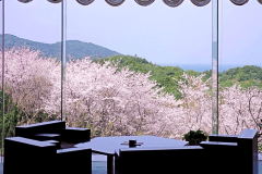 カフェラウンジからの眺め