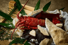 【1日1組限定】伊勢海老づくし会席～海老の旨みを豪快に味わう～