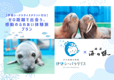 【伊勢シーパラダイスチケット付き】ゼロ距離で出会う、感動のふれあい体験旅(1泊2食)