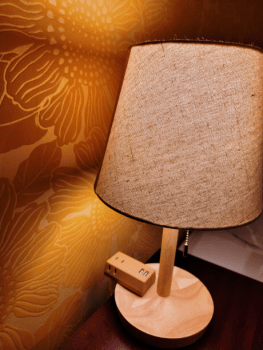 Twin ensuite room with Mountain view