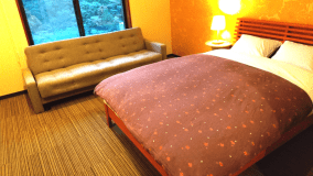 Double ensuite room with Mountain view