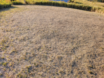 【キャンプ】<AC電源付き>広々区画サイト※ペット不可 E-1 【キャンプ】<AC電源付き>広々区画サイト※ペット不可 E-1