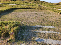 【キャンプ】<AC電源付き>ペット可区画サイト P-1 【キャンプ】<AC電源付き>ペット可区画サイト P-1