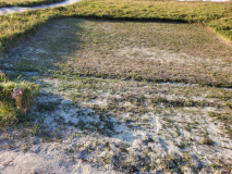 【キャンプ】<AC電源付き>ペット可区画サイト P-4 【キャンプ】<AC電源付き>ペット可区画サイト P-4