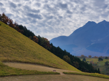 【キャンプ】フリーサイト(ペット可) 【キャンプ】フリーサイト(ペット可)