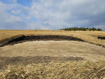 【キャンプ】<AC電源付き>ペット可区画サイト P-2 【キャンプ】<AC電源付き>ペット可区画サイト P-2