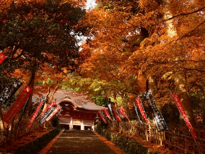 【出雲市】鰐淵寺の紅葉 【出雲市】鰐淵寺の紅葉