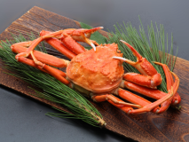 ズワイ蟹イメージ ズワイ蟹イメージ