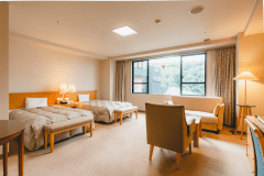 洋室ツインイメージ
※1室1名～3名様迄ご利用可能です。
※3名様でご利用いただく場合、1台がソファーベッドとなります。