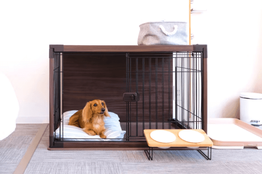 【ペット連れプラン】【素泊まりプラン】★お好きな食材を自由に持ち込みOK★