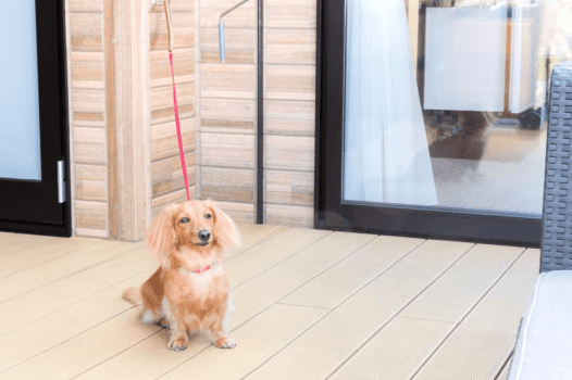 【ペット連れプラン】【素泊まりプラン】★お好きな食材を自由に持ち込みOK★