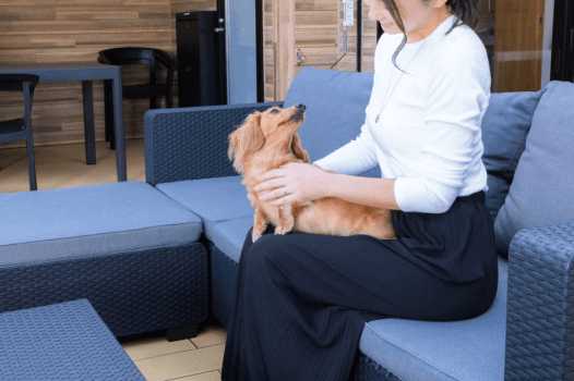 【ペット連れプラン】【素泊まりプラン】★お好きな食材を自由に持ち込みOK★