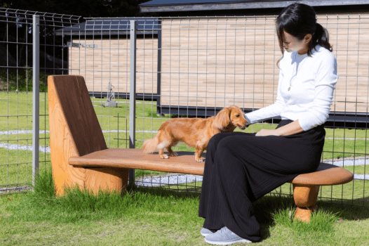 【ペット連れプラン】【素泊まりプラン】★お好きな食材を自由に持ち込みOK★