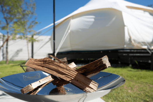 【素泊まりプラン】愛犬と贅沢な時間を〜お食事は好きな食材持参で！