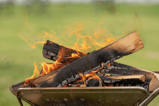 【素泊まりプラン】愛犬と贅沢な時間を〜お食事は好きな食材持参で！