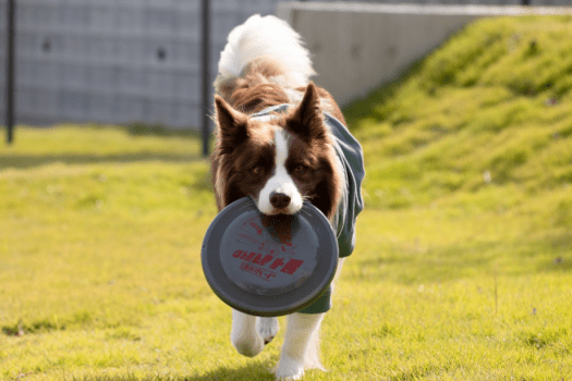 【グループ向け】人数が増える程お得に！一棟貸プラン＜素泊まり＞