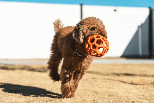 【直前割】連泊プラン。2泊目がお得泊まれる素泊まりプラン