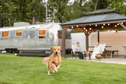 【特別体験価格】憧れの「エアストリーム」ヴィンテージ空間でステイプラン＜素泊まり＞