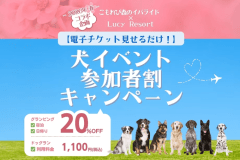 【こもれび森のイバライドコラボ企画 - 2026春 -】犬イベント参加者割＜素泊まり＞