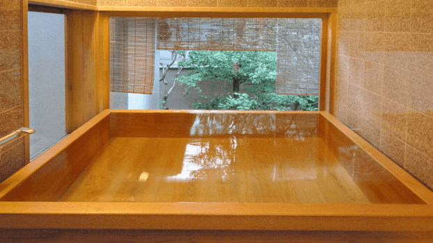 Deluxe Room - Umegae