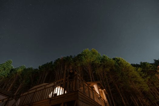 【15％OFF＆選べる3大特典🎁】冬の思い出作ろう♪心も体もあったまる冬旅プラン〈2食付き〉