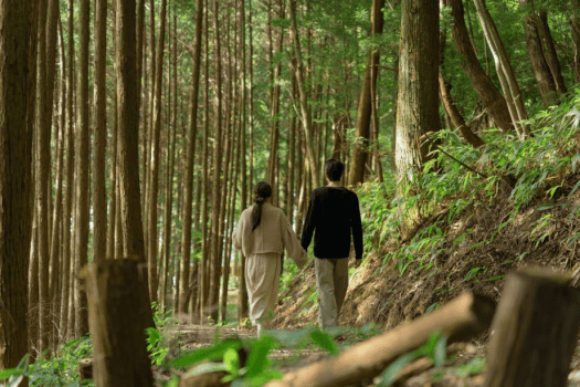 【15％OFF＆選べる3大特典🎁】冬の思い出作ろう♪心も体もあったまる冬旅プラン〈2食付き〉