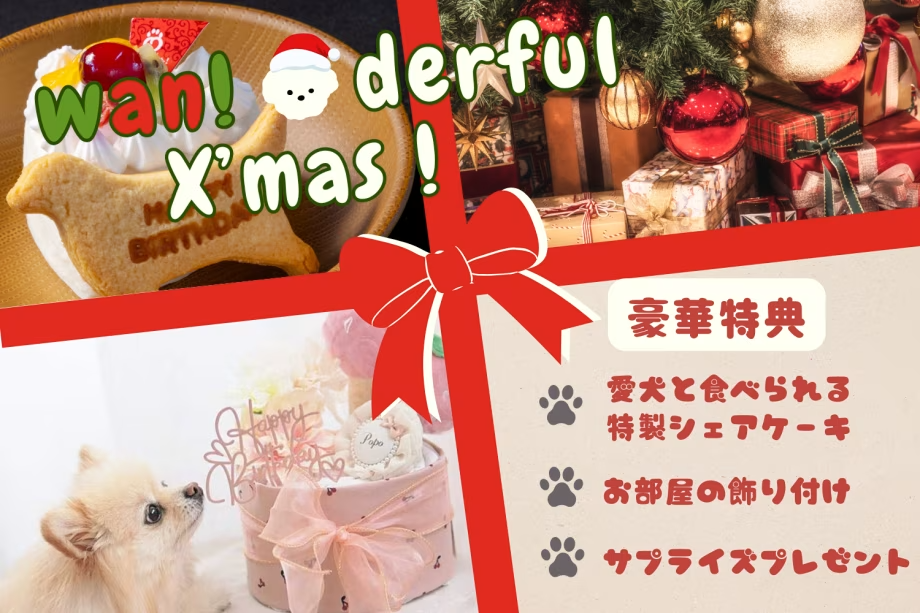 🎁🐶ワンダフルX’masプラン🐶🎁愛犬と味わうシェアケーキ&サプライズプレゼント付き《素泊まり/選べるお食事》 🎁🐶ワンダフルX’masプラン🐶🎁愛犬と味わうシェアケーキ&サプライズプレゼント付き《素泊まり/選べるお食事》