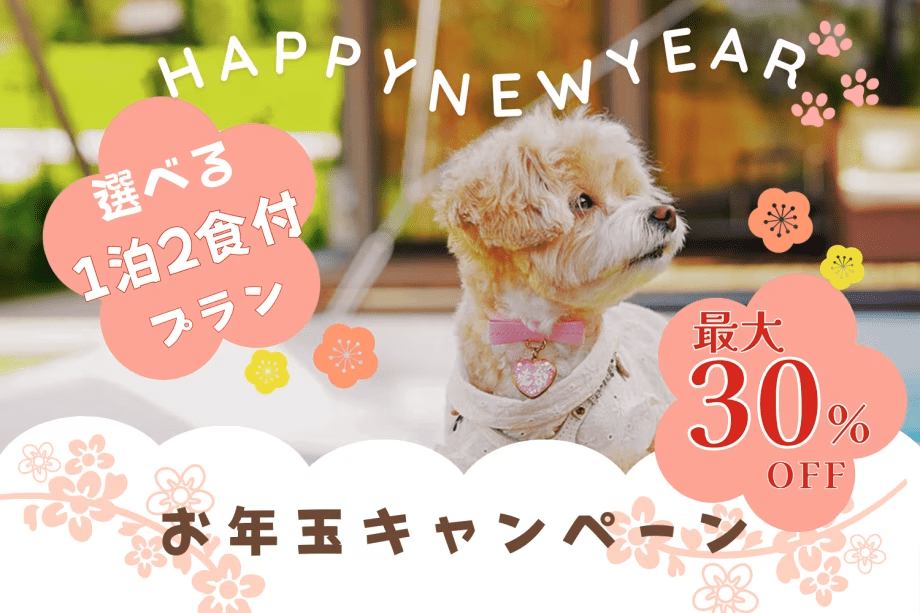 【新年期間限定】お年玉キャンペーン -最大30%OFF- ■新年最初の思い出は、ここで♪【選べる1泊2食付きプラン】