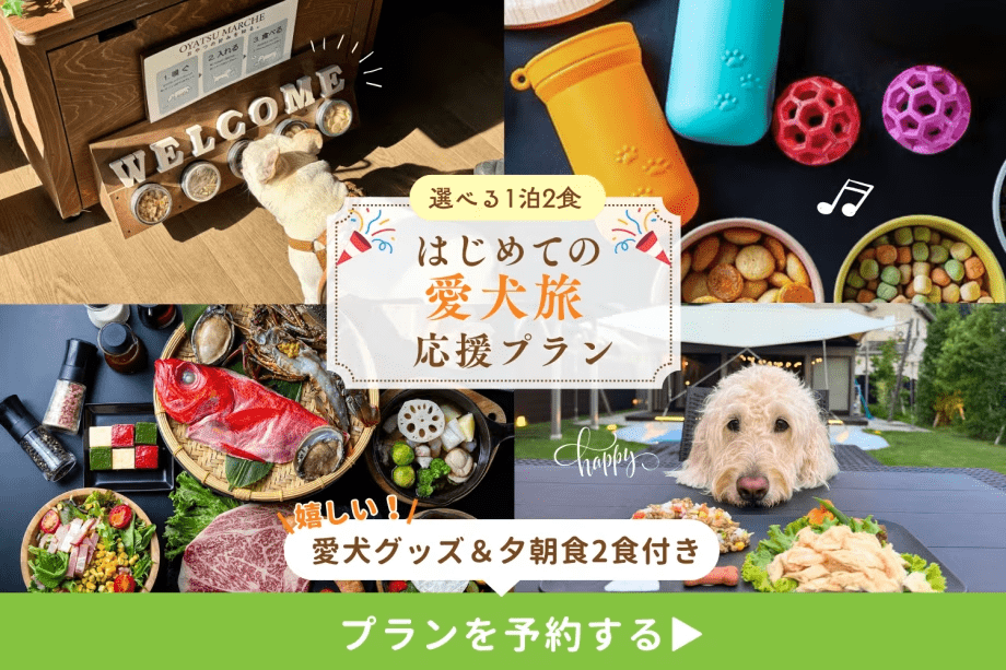 【はじめての愛犬旅を応援🎉】愛犬グッズ＆わんちゃんごはん2食 特典付き🐾<選べる1泊2食付きプラン>